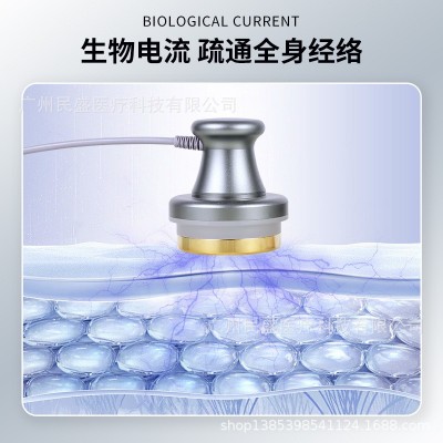 民盛波动仪纤体仪经络仪理疗仪体会销专用三通大师黑科技养生仪器图4