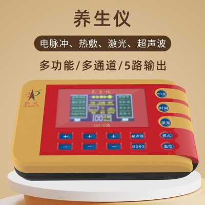 中频脉冲养生电疗仪商用养生仪生物电理疗经络养生仪经络仪疏通温图5