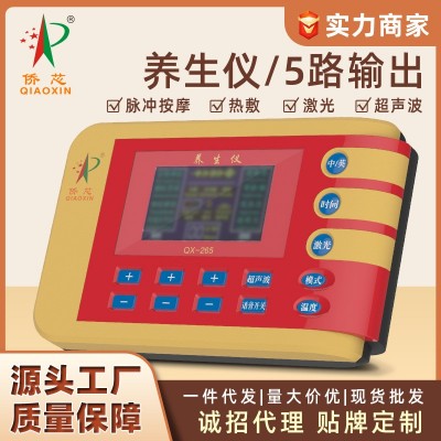 中频脉冲养生电疗仪商用养生仪生物电理疗经络养生仪经络仪疏通温图2