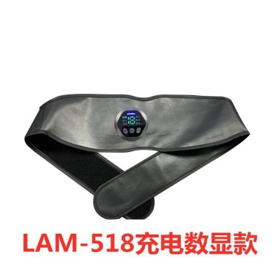跨境EMS腹肌贴腰带抖按摩腰带健腹仪抖机健身器材减肚腩 仪甩脂机图5