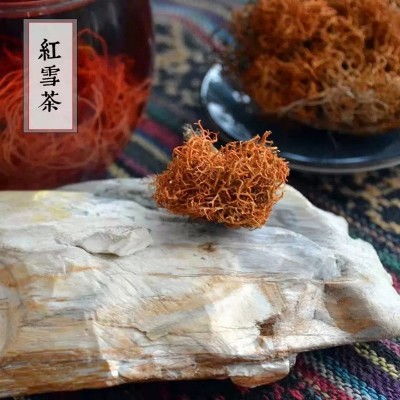 红雪茶产地直供新货金丝红雪茶白雪茶一手货源鹿心雪茶量大从优图3