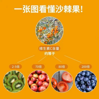 沙棘原浆袋装即饮维生素C饮品沙棘汁源头厂家批发沙棘果蔬汁饮料图2