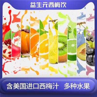 益生元西梅饮品膳食纤维果蔬西梅汁浓酸白芸豆益生菌新品现货批发图4