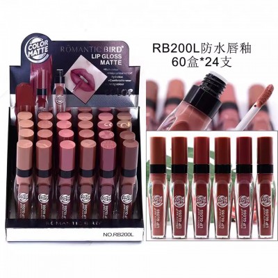 仅出口集合【24支装】裸色系列唇彩ROMANTIC BIRD 6色混装LIPGLOS图2