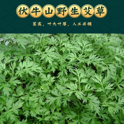 扶阳灸专用艾条艾柱纯艾绒艾灸柱棒陈年正品艾灸盒随身灸家用器具图4