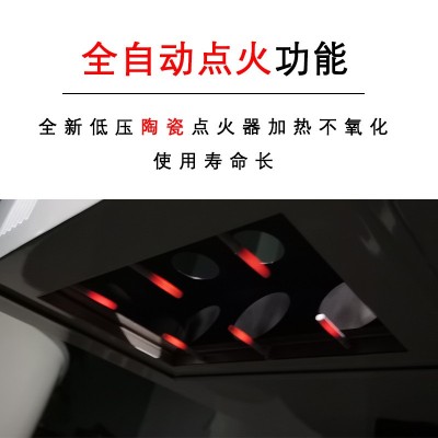 扶阳透灸仪器透骨灸扶阳灸温灸器艾灸净烟自动排烟美容院用理疗仪图2