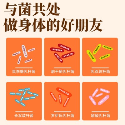 活性益生菌正品代发肠道复合益生元固体饮料成人肠胃活菌冻干粉图5