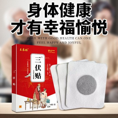 抖快爆款成人儿童三伏贴穴位发热腰椎温灸贴夏季三九贴穴位压力贴图3