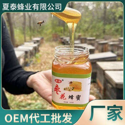 成熟枣花蜂蜜 天然原蜜 源头厂家 农家自产枣花蜜500克图3