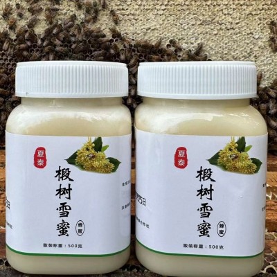 夏泰结晶椴树雪蜜网红爆款蜂产品源头工厂结晶细腻椴树蜂蜜500克图3
