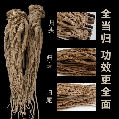 甘肃产地直销甘肃岷县当归农产品当归条批发中药材非野生当 归批发图2