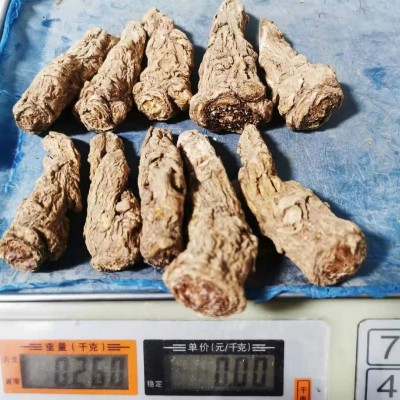 岷县当归中药材当归片批发零售非特级当归头厂家直发当归中药材图3