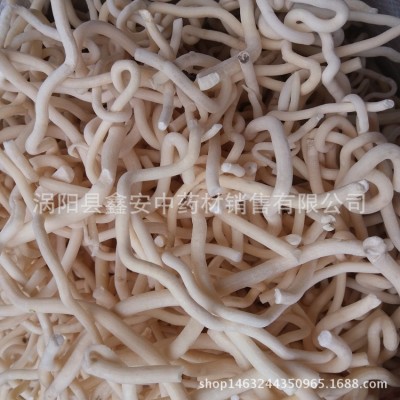 中药材 通草 小通草 通草片 量大从优 可磨粉图4