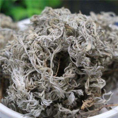 野生茵陈棉茵陈中药材新货厂家批发可一件代发新鲜茵陈草泡水泡茶图4