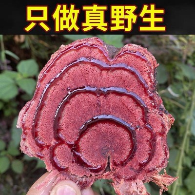 精选野生鸡血藤老藤中药材可批发可一件代发干品泡茶泡水泡酒泡脚图2