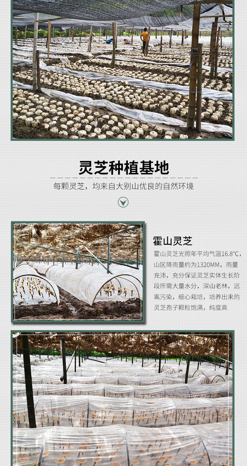 详情页_008