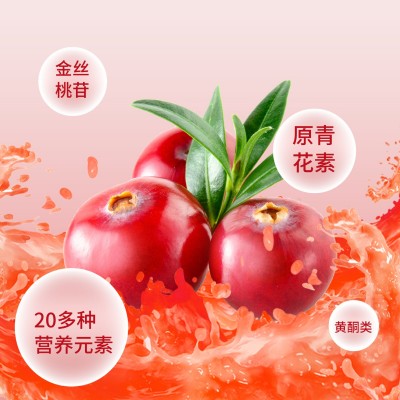 蔓越莓原浆鲜榨果汁果蔬饮料浓缩液膳食纤维发酵原液批发一件代发图3