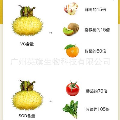刺梨果汁刺梨原液原汁刺梨固体饮料天然维生素C无糖植物饮贴牌oem图3