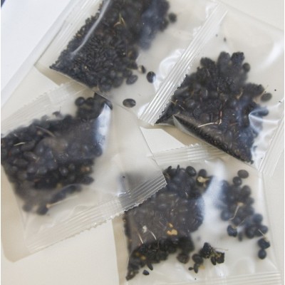 桑葚五黑茶黑芝麻黑枸杞黑米蓝莓茶代用茶养生茶批发零售量大价优图2