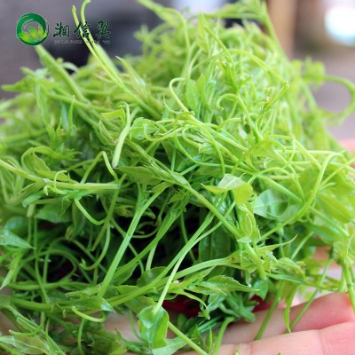 湘信翼莓茶张家界莓茶散装2024年新茶张家界莓茶藤茶芽尖图2