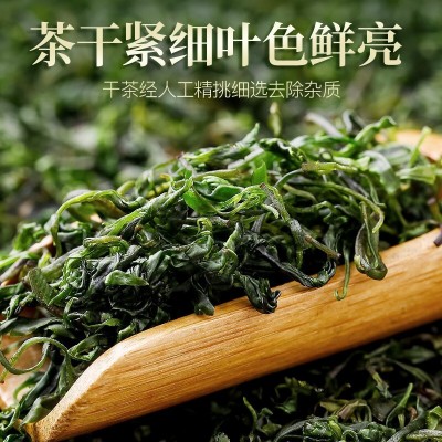 鲜茶小叶苦丁茶 批发代发青山绿水罐装嫩芽小叶苦丁茶新茶叶图3