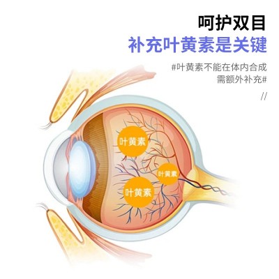 批发弗兰斯坦蓝莓叶黄素酯片青少年儿童成人咀嚼片蓝莓叶黄素酯片图4