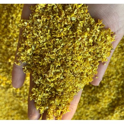 新货桂花干 散装干桂花 广西挑选金桂花茶 产地直供 量大价优图4