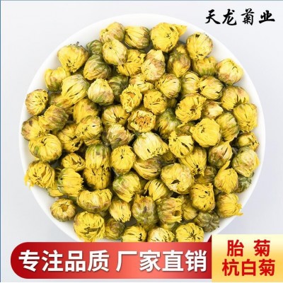 桐乡头采胎菊 菊花茶散装杭白菊胎菊王无硫产地批发厂家直销图5