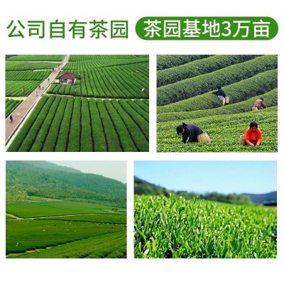 茶乾坤蜜香红茶锡兰红茶阿萨姆红茶 奶茶原料餐饮茶叶红茶批发图3