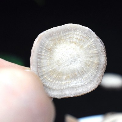 白芍批发中药材白芍片产地货源药食同源煲汤白芍量大价优白芍圆片图4