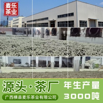 横县茉莉针王浓香型银针花茶散装茶叶整箱特级茉莉花茶超级批发图2