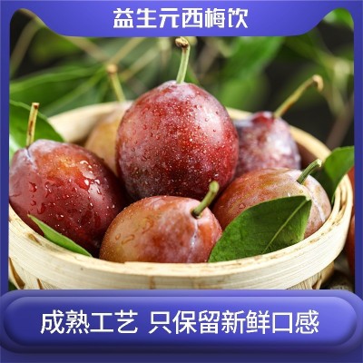 益生元西梅饮定制果蔬酵素西梅汁批发益生菌果饮膳食纤维浓缩果汁图2