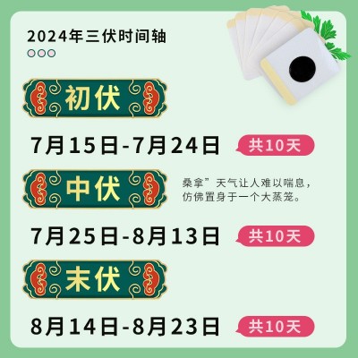 南京同仁堂绿金家园艾草三伏贴三九贴三伏贴热敷艾灸贴图2