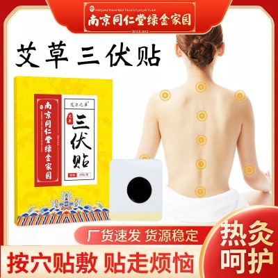南京同仁堂绿金家园艾草三伏贴三九贴三伏贴热敷艾灸贴图1