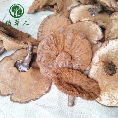 福建椴木紫灵芝赤灵芝 色泽饱满带粉短脚灵芝 散装短柄清香紫灵芝图2