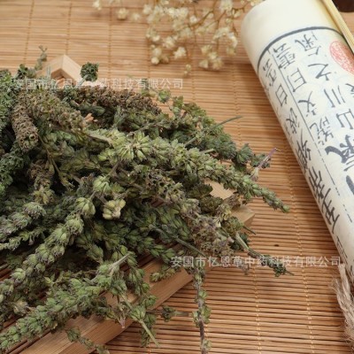 荆芥穗 药材批发 品种齐全 中药芥穗 新货 无杂质 地产药材 芥穗图4