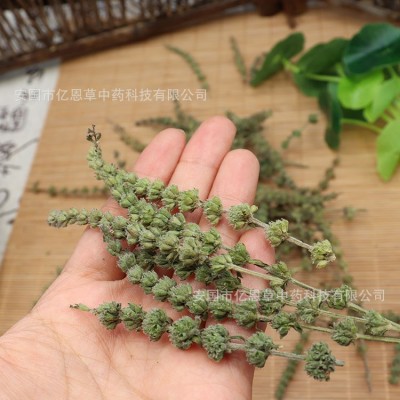 荆芥穗 药材批发 品种齐全 中药芥穗 新货 无杂质 地产药材 芥穗图3