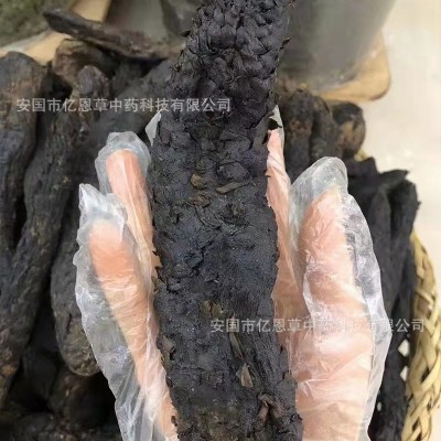 产地货源 肉苁蓉药材批发 阿拉善肉苁蓉整根 中药材销售 品种齐全图3