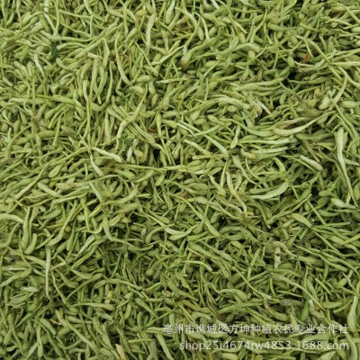 产地货源中药材现货批发头茬新货散装金银花批发色青饱满图2
