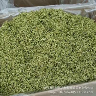 产地货源中药材现货批发头茬新货散装金银花批发色青饱满图5