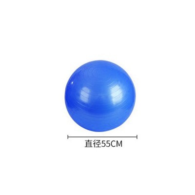 pvc加厚防爆瑜伽球运动健身平衡球专用训练体操球舞蹈按摩球批发图5