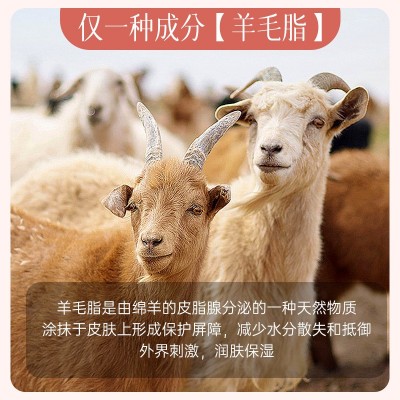 德德维芙羊脂膏保湿润护润而不油好吸收细腻肌肤日常护理羊脂膏图3