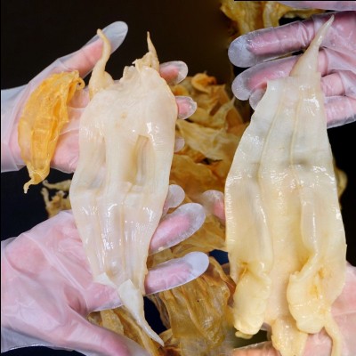55头北海公肚鱼胶/花胶足干货黄花胶赤嘴花胶即食花胶鱼胶粥原料图2