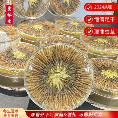 西藏那曲虫草干草冬虫夏草礼盒装 无断草冬虫草冬虫夏草干货批发图1
