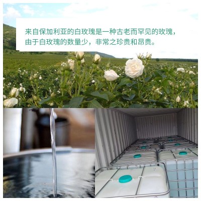保加利亚契约直进 稀有卡赞勒克白玫瑰纯露补水保湿头道饱和图4