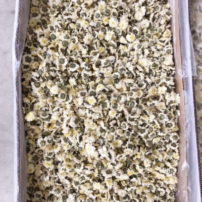 基地 黄山贡菊 菊花茶 白菊花 黄山贡菊菊花茶散装批发 量大价优图3