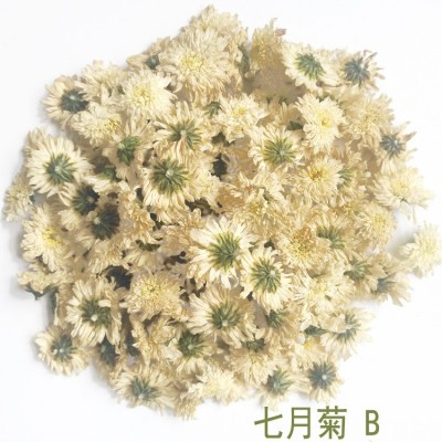 七月菊散装批发500g 新花 黄山白菊花七月大板花源产地非黄山贡菊图4