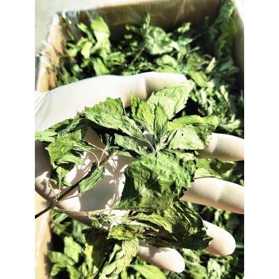 批发薄荷叶薄荷茶基地直供新货上市薄荷叶颗粒茶花草茶图5