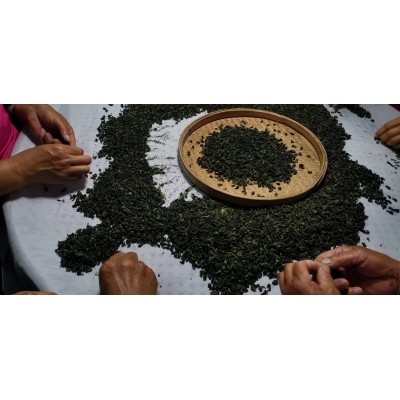大翔茶业四季春 散茶 茶基底，奶茶果茶手打柠檬茶图4