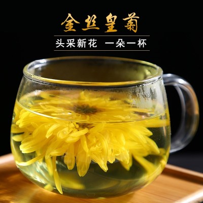 金丝皇菊 礼盒装 一朵一杯 20朵金丝黄菊 大朵菊花茶 铁盒装 批发图4